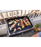 Barbecue Plancha Electric 1 XD