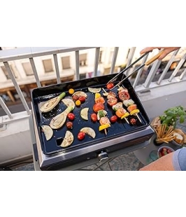 Barbecue Plancha Electric 1 XD Barbecue Plancha Electric 1 XD