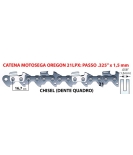 Catena oregon 21LPX 72M