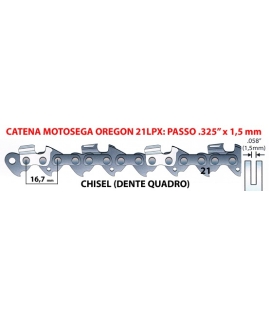Catena oregon 21LPX 64M
