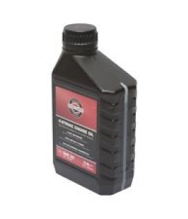 olio motore 4T 0.600 gr Biggs